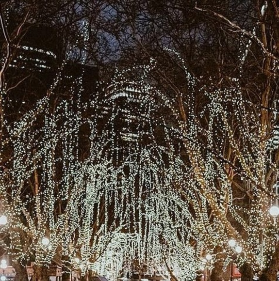 Meet your Posher, Cory - Picture 1 of 1